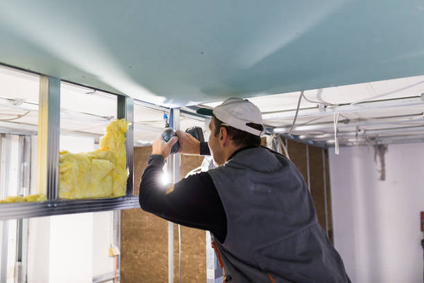 Best Spray Foam Insulation  in Cape Carteret, NC