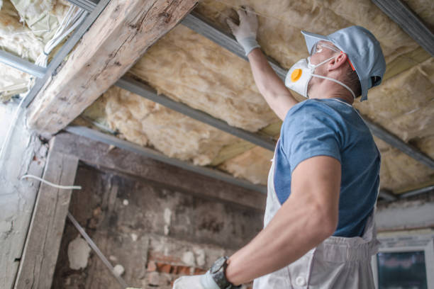 Best Insulation Removal  in Cape Carteret, NC