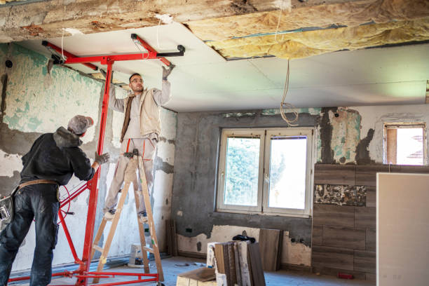 Best Insulation Contractor Near Me  in Cape Carteret, NC