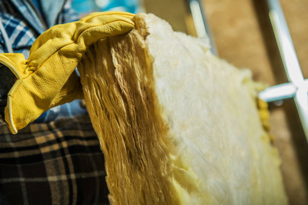 Best Insulation Removal Services  in Cape Carteret, NC