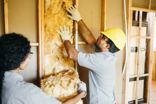 Best Attic Insulation Installation  in Cape Carteret, NC
