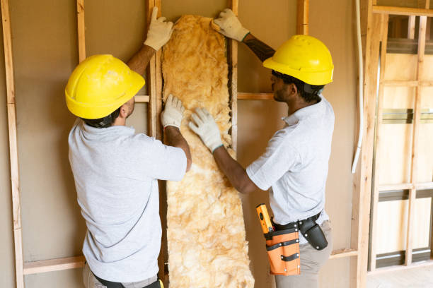 Best Garage Insulation Installation  in Cape Carteret, NC