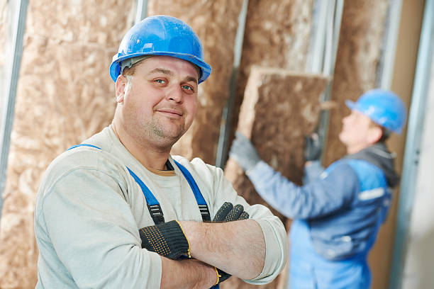 Best Insulation Replacement Services  in Cape Carteret, NC